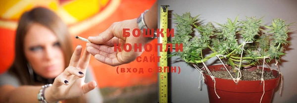 Альфа ПВП Богданович