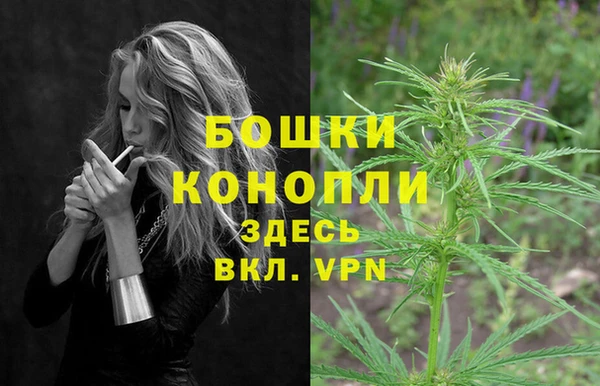 СК Богородицк