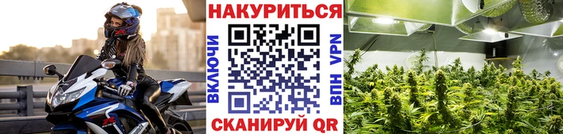 Бошки Шишки семена  как найти   Дрезна 
